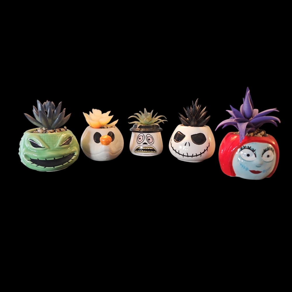 9 Piece Nightmare Before Christmas Succulent Set.